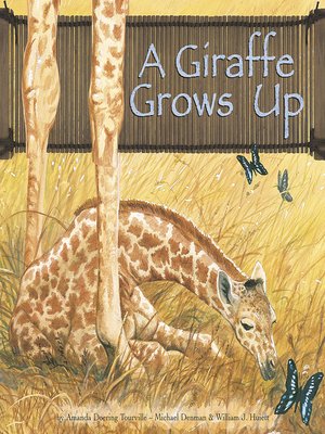 cover image of A Giraffe Grows Up